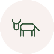 icon-03