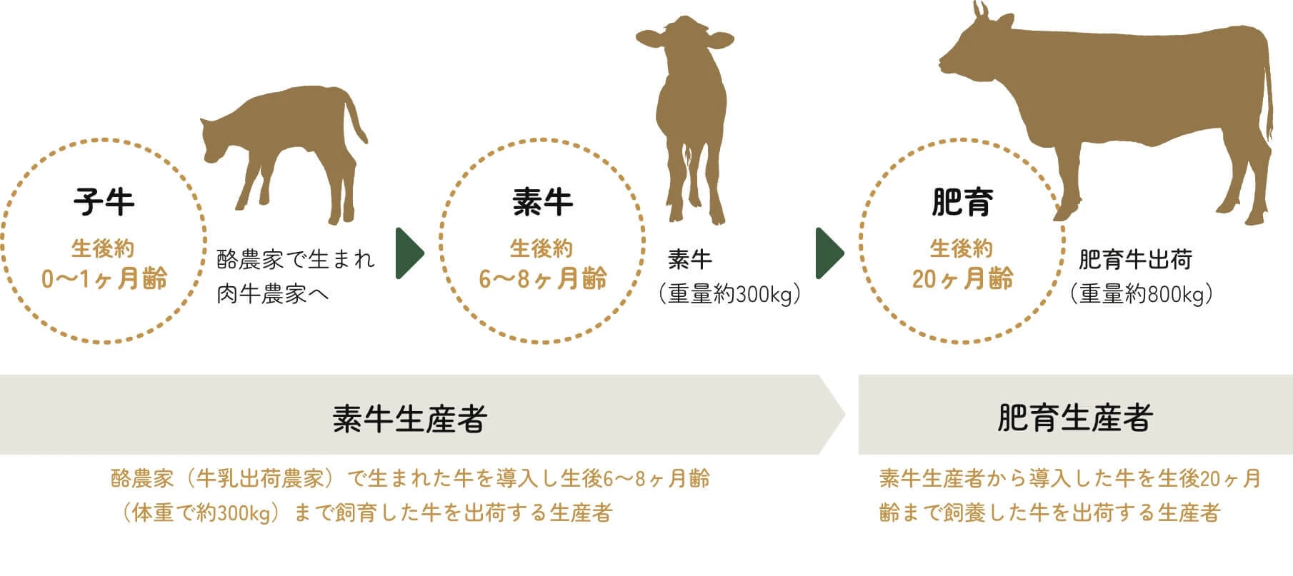 img-11